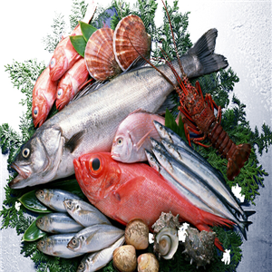 南方水產(chǎn)品加盟 把握商機(jī)，開拓水產(chǎn)品市場(chǎng)新藍(lán)海