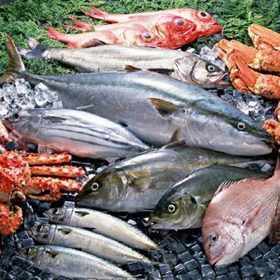 南非冷凍蝦仁進(jìn)口報(bào)關(guān)指南 水產(chǎn)品進(jìn)口流程解析