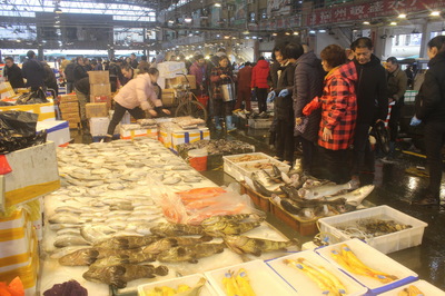 名成集鮮綜合水產(chǎn)品交易區(qū)首屆年貨節(jié) 水產(chǎn)品盛宴開啟