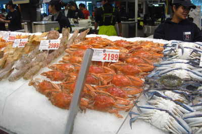 2015年悉尼水產(chǎn)品市場(chǎng)回顧 人潮涌動(dòng)的海鮮盛宴