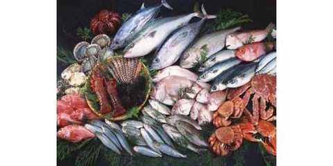 滇池碧波育珍饈——云南特色水產(chǎn)品與農(nóng)漁產(chǎn)業(yè)發(fā)展掠影